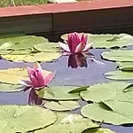 Le Sentier Des Etangs アパート