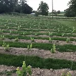 Le Sentier Des Etangs アパート