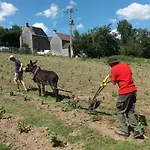 Le Sentier Des Etangs * Barsy