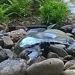 Le Sentier Des Etangs アパート *