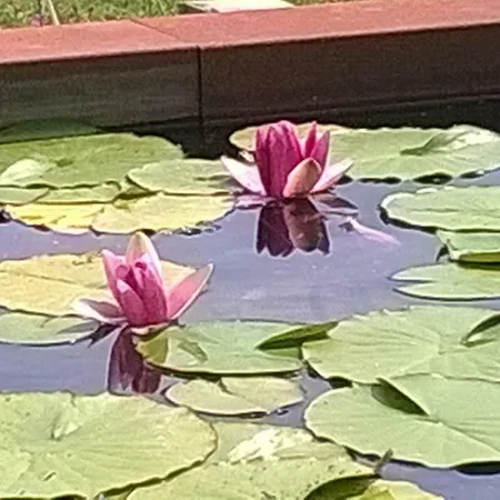 Le Sentier Des Etangs Appartement