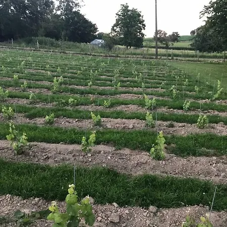 Le Sentier Des Etangs Appartement