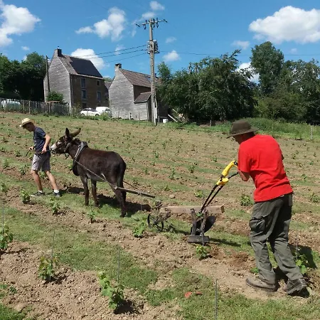 Le Sentier Des Etangs * Barsy