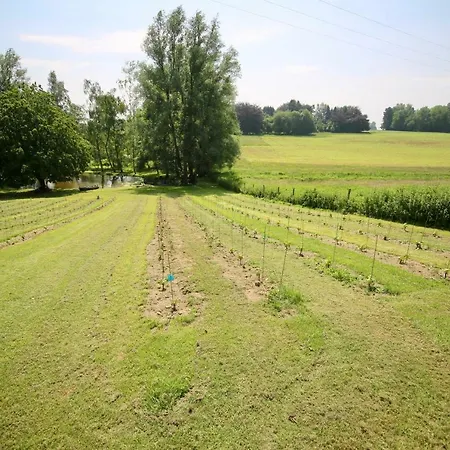 Le Sentier Des Etangs Appartement Barsy